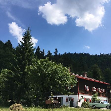 ريت ام وينكل Gatterl Zum See المظهر الخارجي الصورة